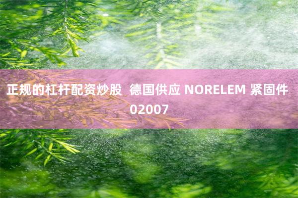 正规的杠杆配资炒股  德国供应 NORELEM 紧固件 02007