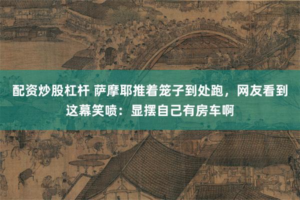 配资炒股杠杆 萨摩耶推着笼子到处跑，网友看到这幕笑喷：显摆自己有房车啊