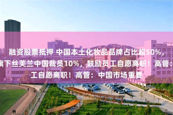 融资股票抵押 中国本土化妆品品牌占比超50%，传LVMH集团旗下丝芙兰中国裁员10%，鼓励员工自愿离职！高管：中国市场重要