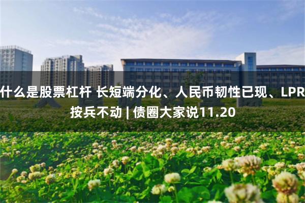 什么是股票杠杆 长短端分化、人民币韧性已现、LPR按兵不动 | 债圈大家说11.20