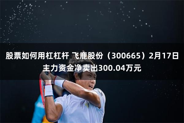 股票如何用杠杠杆 飞鹿股份（300665）2月17日主力资金净卖出300.04万元