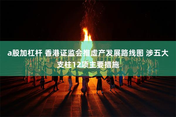 a股加杠杆 香港证监会推虚产发展路线图 涉五大支柱12项主要措施