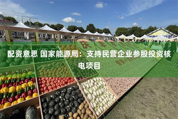 配资意思 国家能源局：支持民营企业参股投资核电项目