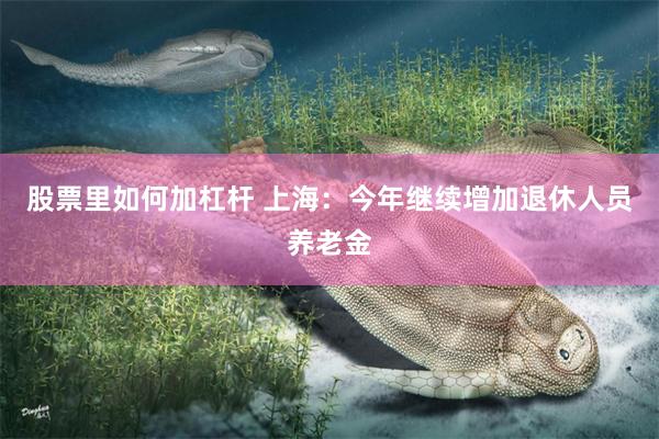 股票里如何加杠杆 上海：今年继续增加退休人员养老金