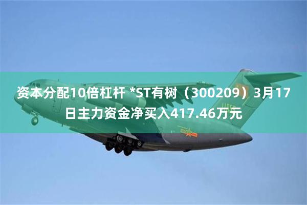 资本分配10倍杠杆 *ST有树（300209）3月17日主力资金净买入417.46万元