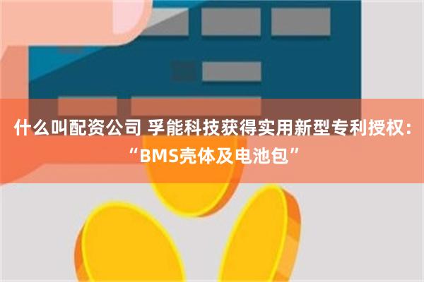 什么叫配资公司 孚能科技获得实用新型专利授权：“BMS壳体及电池包”