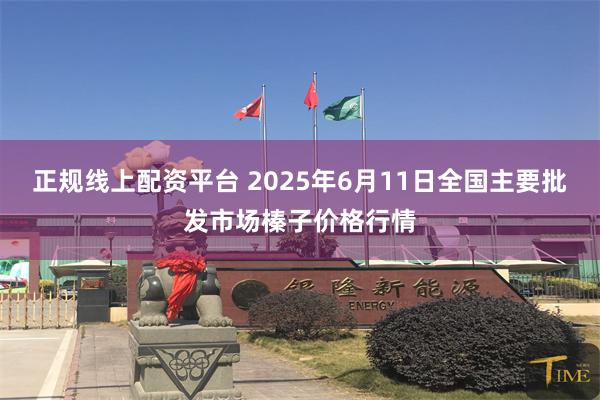 正规线上配资平台 2025年6月11日全国主要批发市场榛子价格行情
