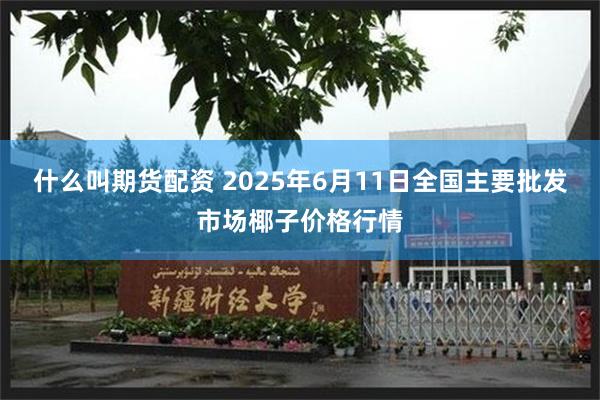 什么叫期货配资 2025年6月11日全国主要批发市场椰子价格行情