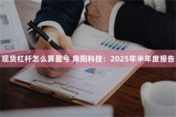 现货杠杆怎么算盈亏 鼎阳科技：2025年半年度报告