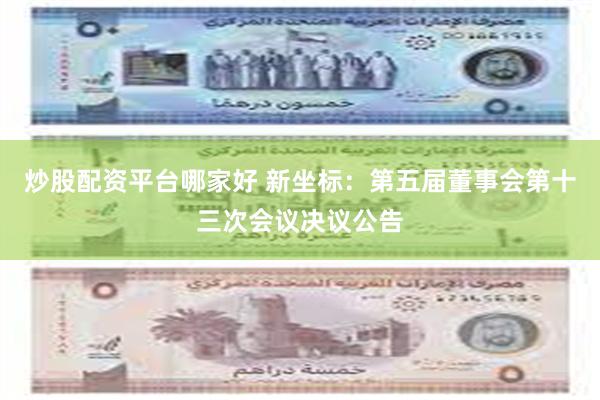 炒股配资平台哪家好 新坐标：第五届董事会第十三次会议决议公告