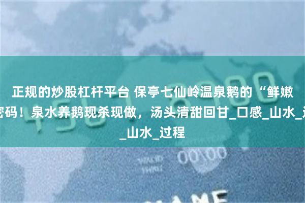 正规的炒股杠杆平台 保亭七仙岭温泉鹅的 “鲜嫩” 密码！泉水养鹅现杀现做，汤头清甜回甘_口感_山水_过程