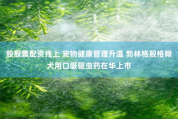 股股票配资线上 宠物健康管理升温 勃林格殷格翰犬用口服驱虫药在华上市