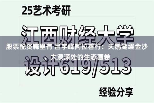股票配资哪里有 吕宇峰阿拉善行：天鹅湖缀金沙，大漠深处的生态画卷